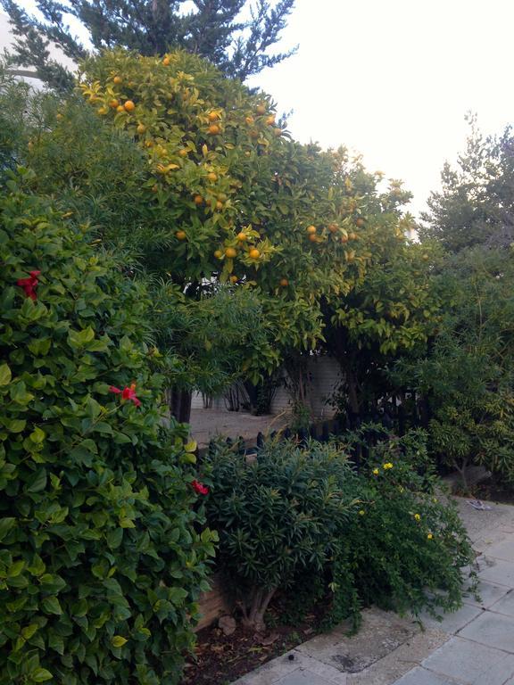 Paphos Studios Екстериор снимка